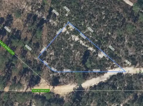 Residential Land in Sebring, FL