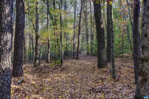 Land Parcel in Earlysville, VA