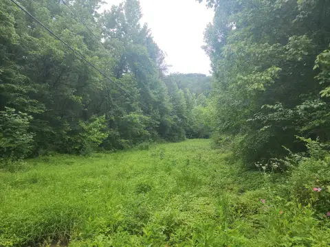 Sevierville Land with Creek