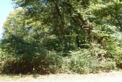 Residential Lot in Florence, AL