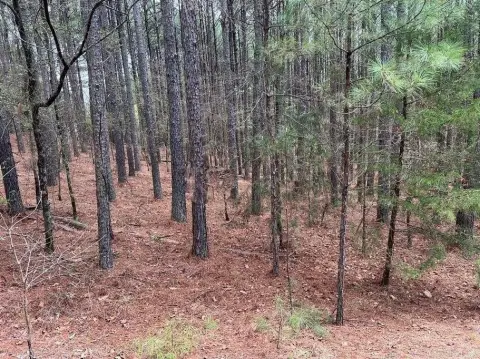 Residential Lot Near Isabella Golf