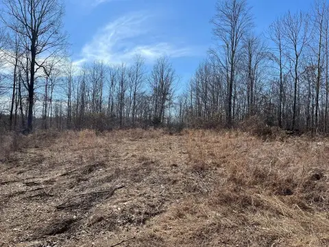 Seventy-Five Acre Wooded Land