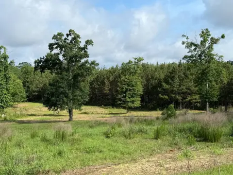 Recreation and Hunting Land