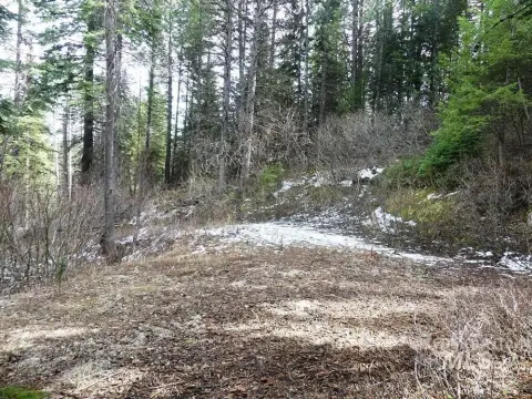 Wooded Land Near Cascade Lake