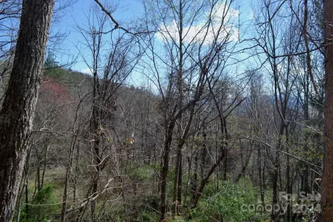 Asheville Mountain View Lot