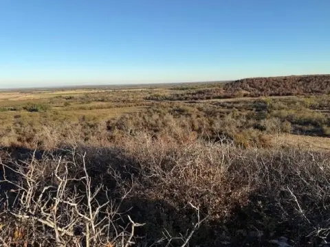 Texas Ranch and Hunting Land