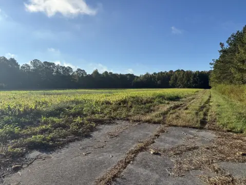 Cleared Commercial Land with Paved Roads