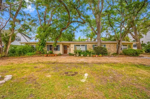 Oversized Lot in Sunset Park