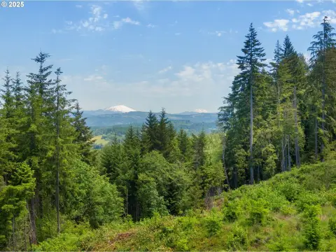 View Acreage Ready to Build