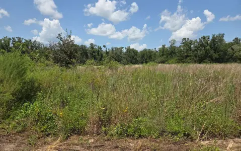 Agricultural Land with Timber