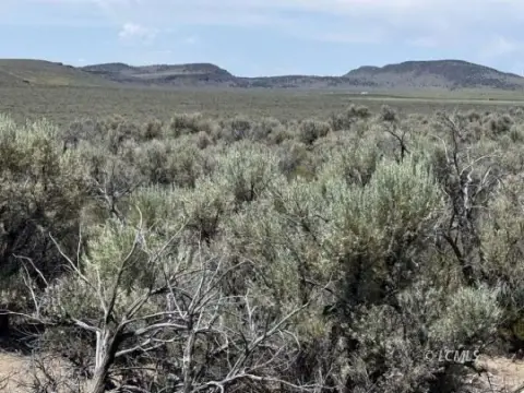 Flat Agricultural Land Parcel