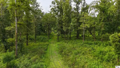 Hardwood Hunting Tract with Access