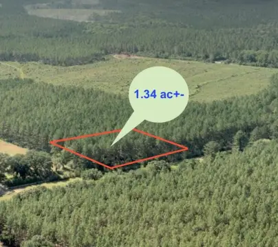 Rural Homesite Land Parcel