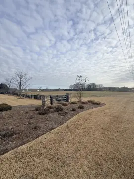 Cleared Commercial Land in Florence, AL