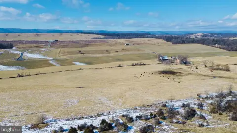 135 Acres in Quicksburg, VA