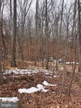 3.58 Acres in Star Tannery