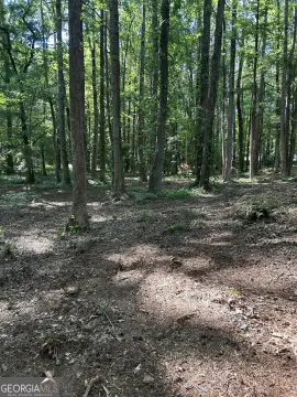 Hiram, GA Wooded Land Parcel