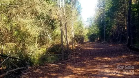 27.86 Acre Commercial Land Parcel