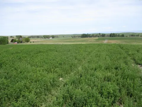 Agricultural Land Parcel