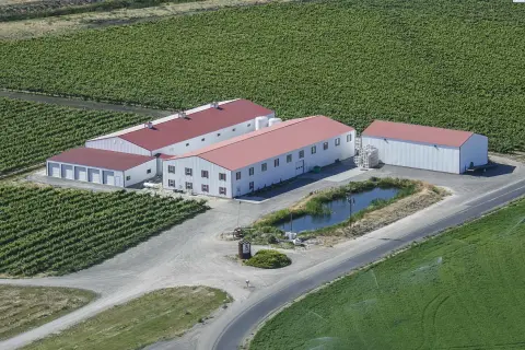 Vineyard Winery Complex