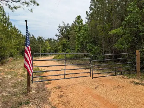12.79 Acres Mini Farm