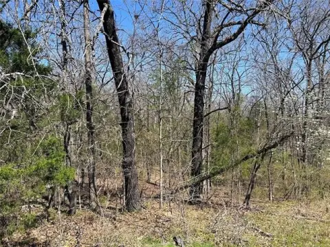 Lakewood Lot Near Marina