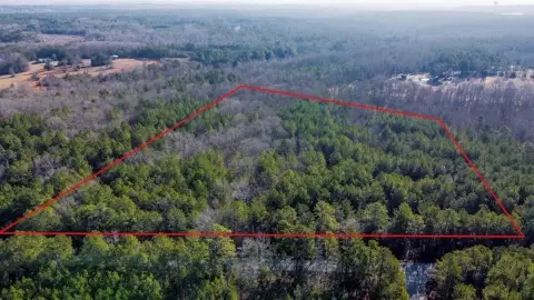 Abbeville Land with Road Frontage