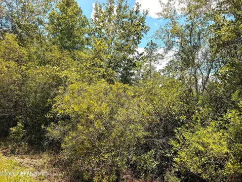 5-Acre Homesite in Starke, FL