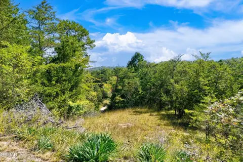 Sevierville Land Near Douglas Lake