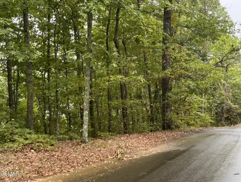 Sevierville Land with Mountain Views