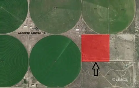 38.33 Acres Near Christmas Valley