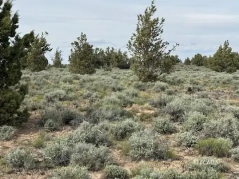 280 Acres Bordered by BLM
