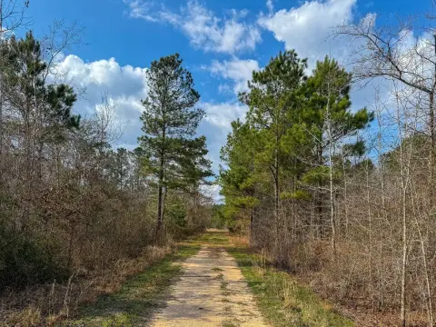 Recreational Hunting Land in DeBerry