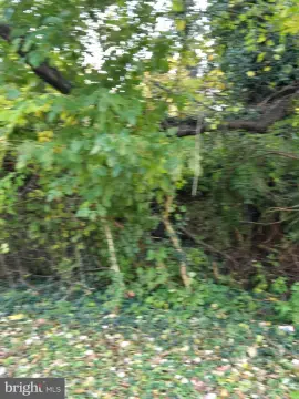 Half Acre Lot in Federalsburg