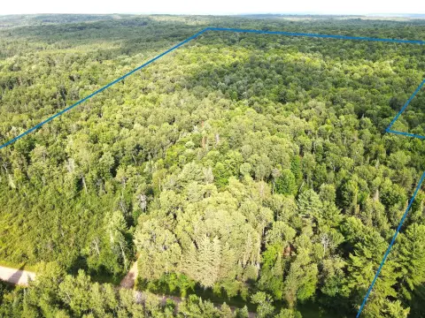 Hunting Land with Pole Building