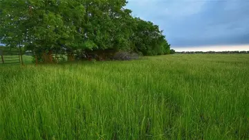 56-Acre Land Near Sherman, TX