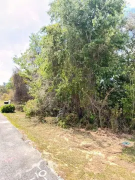 Residential Lot in Marion Oaks