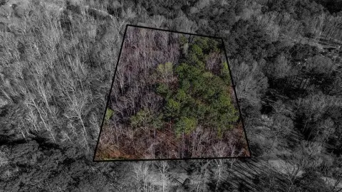 Residential Lot in Gated Community