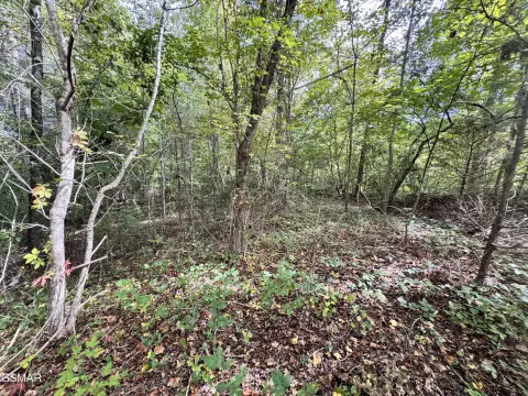 Premier Building Lot in Sevierville