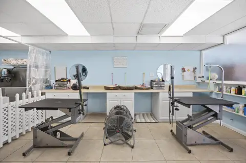 Established Pet Grooming Salon For Sale