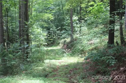 Wooded Lot in Gated Community