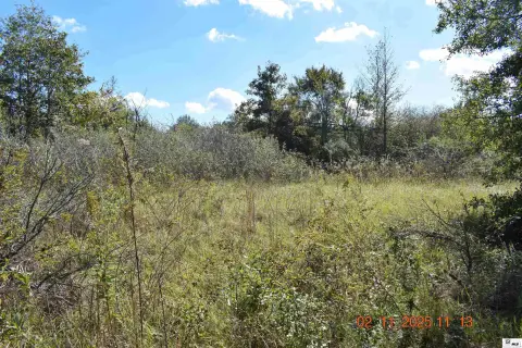 Low-Traffic Rural Pasture Tract