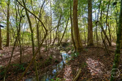 Recreational Land with Creek Frontage