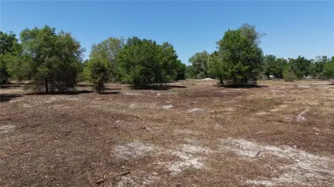 Cleared Land in Okeechobee