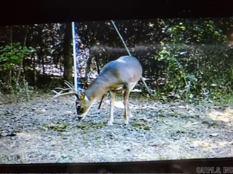 60 Acres Hunting Land, Prescott