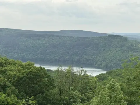 Residential Lot in Edgemont, AR