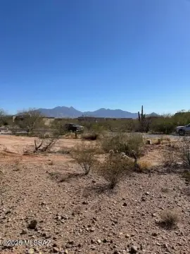 Sahuarita Land with Desert Flora