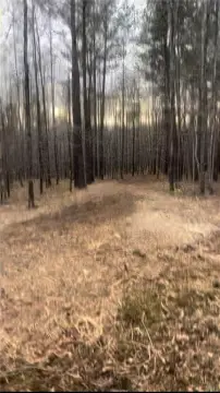 Land in Sparta, Georgia