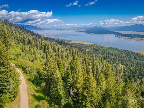 728 Acres of Timbered Mountain