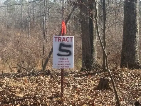 Wooded Hunting Land